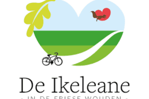 Ontwerp zonder titel 40