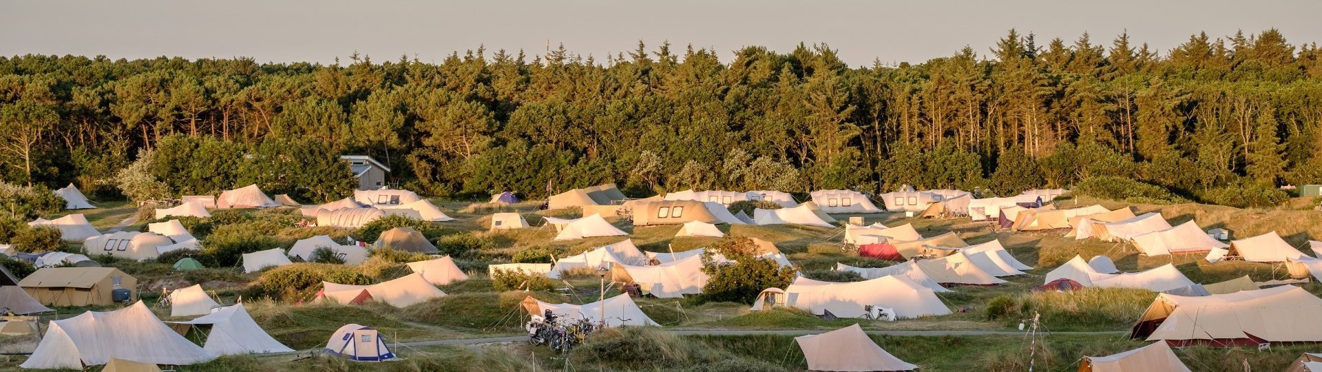 Stortemelk tommy software